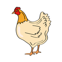 hen animal farm