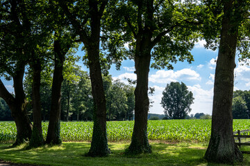 Landschaft im Urstromtal der Hase