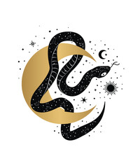 Magic snake tarot cards. magic occult esoteric astrology. Boho chic tattoo, poster, tapestry or altar veil print design vector illustration