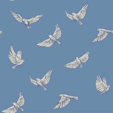 Seamless pattern, flying birds. Vector outlines © aksol