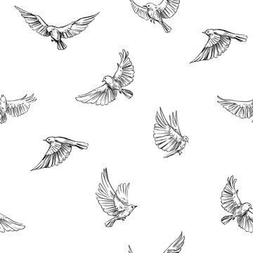 Seamless pattern, flying birds. Vector outlines