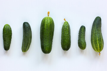 cucumbers in a row on a light background, from directly above.
