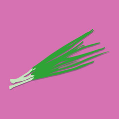 Obraz na płótnie Canvas green onions vegetable food vegetarian diet ingredient