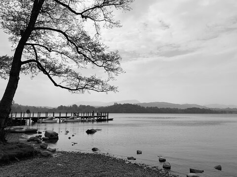 lake and trees