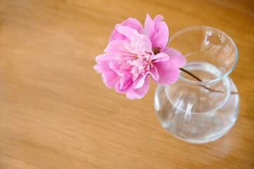 On a wooden surface there is a transparent glass vase with one flower, a pink peony. 