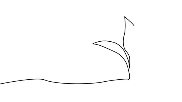 A continuous line of sprout, plant self-draws. Growth and development concept, ecology.