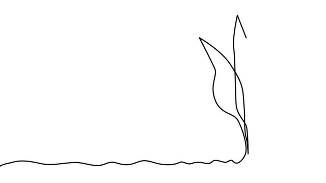 A continuous line of sprout, plant self-draws. Growth and development concept, ecology.