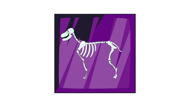 Dog skeleton icon animation cartoon best object isolated on white background