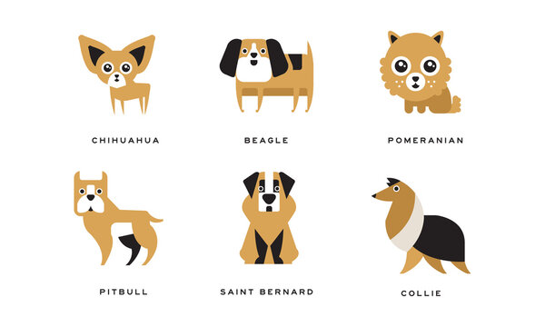 Dog Breeds Depicted in Flat Style with Chihuahua and Beagle Vector Set