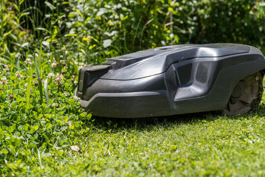 Rasen m&auml;hen mit M&auml;hroboter