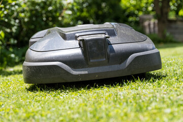 Rasenschnitt mit Mähroboter