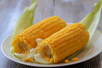 Boiled corn on a white plate