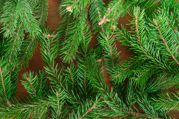 Background of green fir branches for Christmas New Year celebration greeting card design	