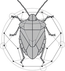 Mystic Forest Bug Geometric Drawing Tattoo or Logo. Blackwork Art. Isolated vector symbol.	
