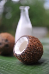 Kokosmilch