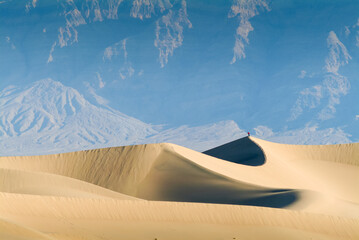 Fototapeta na wymiar Alone on the Dune