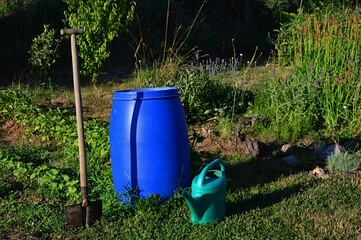 Fototapeta na wymiar Garden itools - plastic blue barrel, emerald blue watering can and old spade with wooden handle jabbed in garden soil, various plants in flowerbeds behind the tools. Summer late afternoon sunshine.