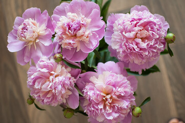 Close up of bouquet of fresh pink peonies, seasonal concept