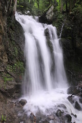 Fototapeta na wymiar waterfall in the forest in Switzerland