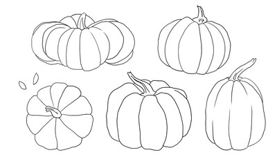 Set of hand drawn autumn graphic objects for halloween seasonal autumn harvest holidays invitation greeting card design decoration. Linear drawing Sketch of pumpkins vegetables of different shapes