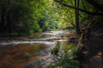 Nature reserve Cascades on Tanew River (Szumy nad Tanwią), Roztocze, Poland. River flowing through the green forest in the summertime. Wooden footbridge leading along the river.