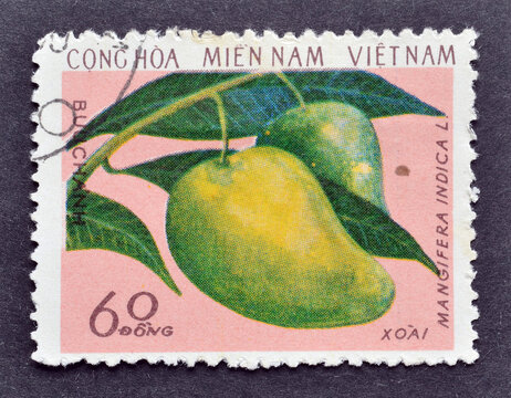Cancelled postage stamp printed by Vietcong, National Liberation Front, that shows Mango, circa 1976.