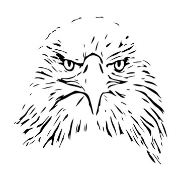 Abstract black eagle. Sketch design silhouette of an eagle.