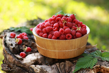 Gardening and agriculture. Berry harvest. Raspberries with green leaves in a wooden bowl on an old tree. Summer, a sunny day. Background image, copy space