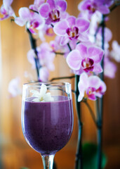 Blaubeer-Smoothie