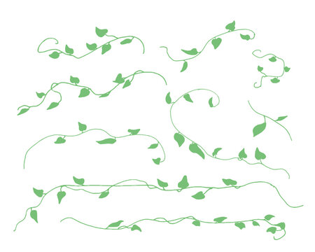 14 376 Best Ivy Leaf Illustration Images Stock Photos Vectors Adobe Stock 14 376 Best Ivy Leaf Illustration Images Stock Photos Vectors Adobe Stock