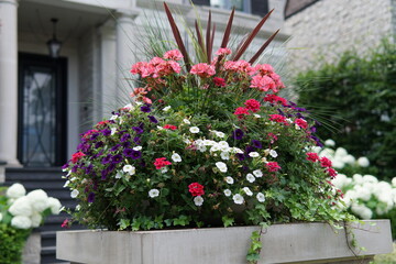 ornamental basket of bright summer flowers on a pillar in front of a house