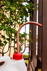 Watering can made of plastic container and rubber hose