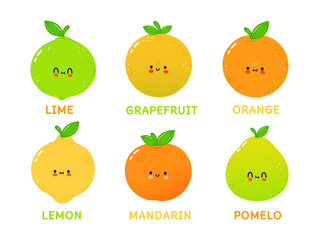 Funny cute happy citrus characters bundle set. Vector hand drawn cartoon kawaii character illustration icon. Isolated on white background. Cute citrus mascot character collection