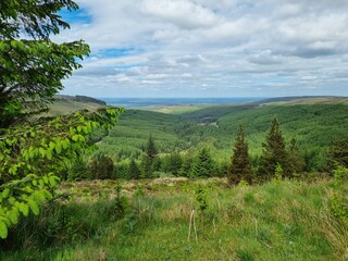 Obraz premium landscape with trees and mountains