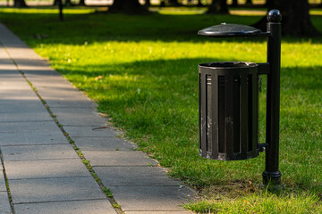 Park, tree, trash can, path, forest, nature, leaves, sawn tree
