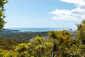 Great landscape of forest and sea at Great Barrier Island