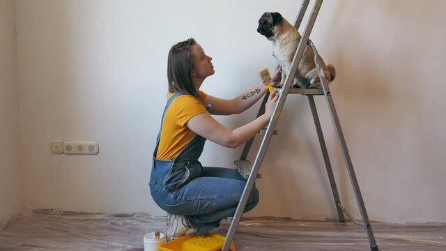 woman makes repairs in her apartment with her pet dog and talk with her. Funny pug dog sitting on ladder and listen. 
