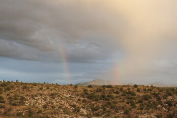 A beautiful rainbow over the desert landscape, Coconino National Forest, Yavapai County, Arizona.