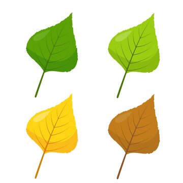 Multicolored Birch, Aspen or Poplar leaves icons