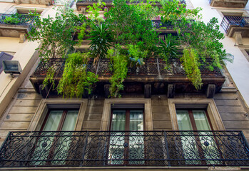 Fototapeta na wymiar Beautiful Barcelona streets in historic city center near Lar Ramblas.
