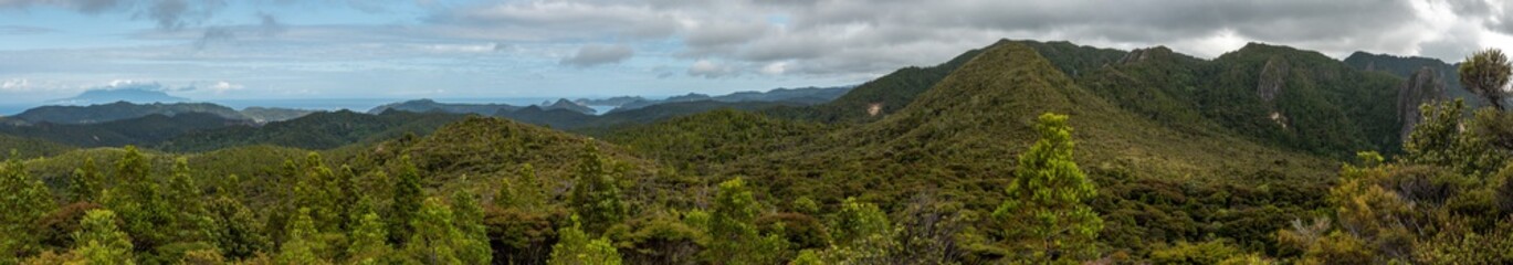Naklejka na ściany i meble Tranquil upland landscape of Great Barrier Island