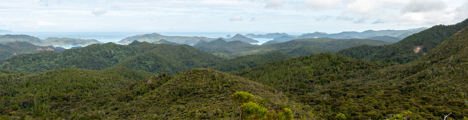 Fototapeta na wymiar Tranquil upland landscape of Great Barrier Island