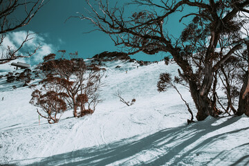 People in winter enjoying the snowy mountains where are practised plenty of activities such as skiing and snowboarding with a clear sky and some clouds on the horizon.