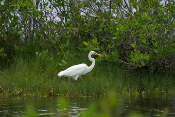 wildlife landscape photography