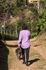 Young girl and her pit bull dog walking on the dirt road. She and the pitbull exercising. Sunny day.