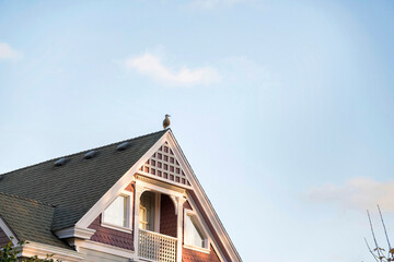 Balcony on an attic of a house with bird on the roof