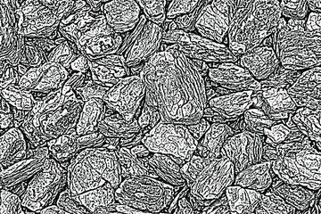 Grunge texture of pieces of pine bark. Monochrome background of natural wood mulch with spots, noise and grain. Overlay template. Vector illustration