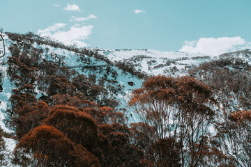 People in winter enjoying the snowy mountains where are practised plenty of activities such as skiing and snowboarding with a clear sky and some clouds on the horizon.