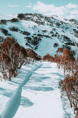 People in winter enjoying the snowy mountains where are practised plenty of activities such as skiing and snowboarding with a clear sky and some clouds on the horizon.
