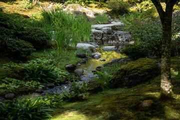 Fototapeta na wymiar Seattle Japanese Garden, Madison Park